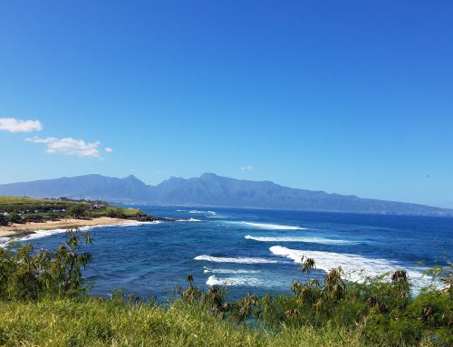 Epic 7-Day Maui Vacation Itinerary for 2024