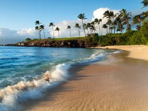 Maui beach