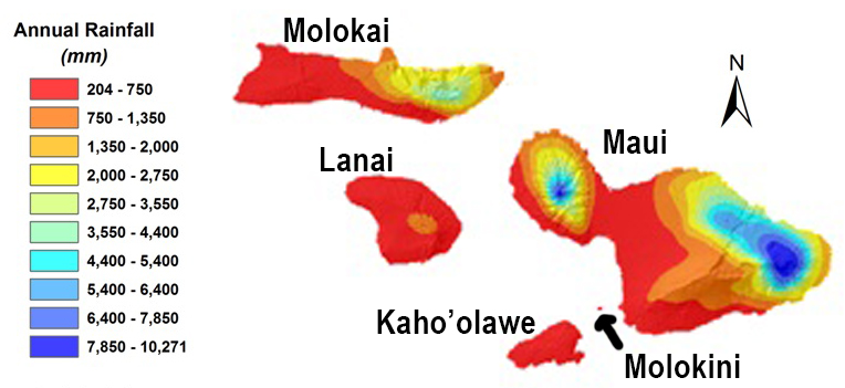 Maui Rainfall Map