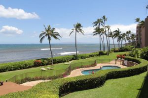 Maalaea Banyan