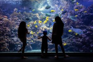 Maui Ocean Center