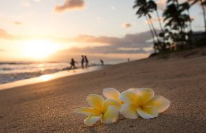 Maui beach