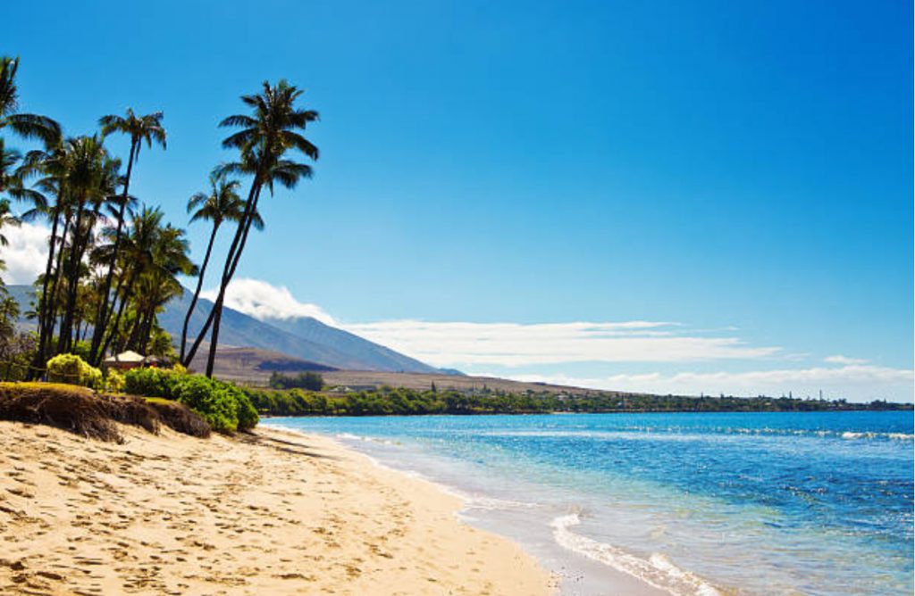 a Maui beach