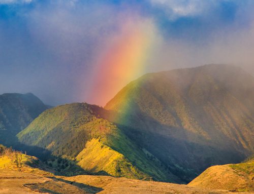 A Guide to Understanding Maui’s Diverse Weather