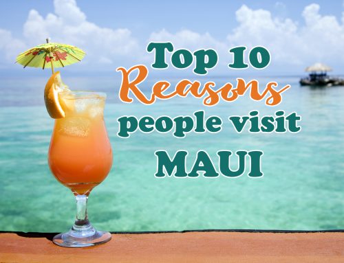 The Survey is In! Top 10 Reasons People Visit Maui