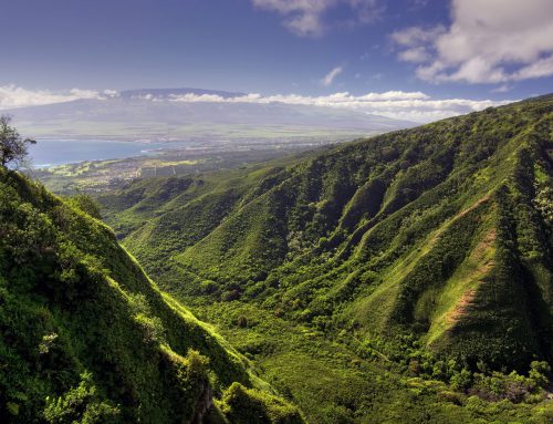 Amazing Summer Hikes on Maui