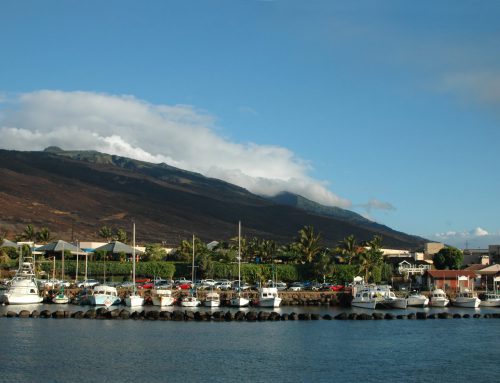 The Central  Spot for Gentle Waves and Sun Kissed Maui Days