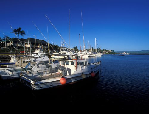 Magnificent Maui Sport Fishing