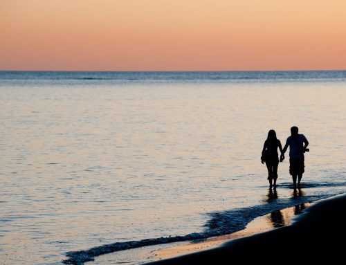 Falling in Love on Maui! Couples in Paradise