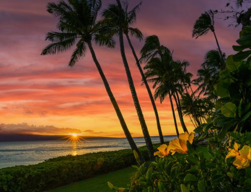 You Only Have a Long Weekend? Here Are Maui’s Greatest Hits